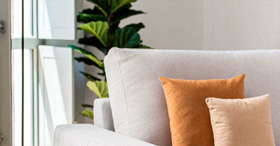 výhody-dekorace-barvy-jasné