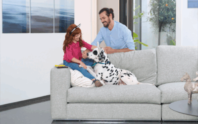 El sofá, un elemento importante