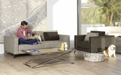 La vida entorno al sofá