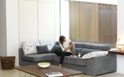 ¿Por qué araña tu gato el sofá?