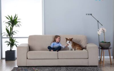 Cómo mantener la higiene con mascotas en casa