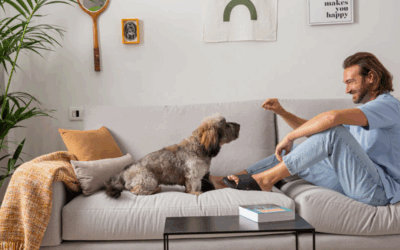 More love, less stains: aquaclean extreme for homes with pets