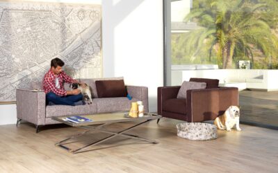 ¿Es bueno dejar subir a nuestra mascota al sofá?