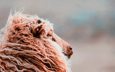 La naturalidad en nuestros tejidos