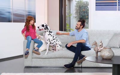 Mascotas y aquaclean, la mejor combinación