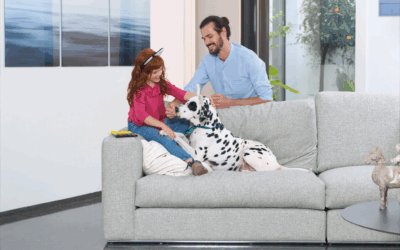 El sofá, un elemento importante