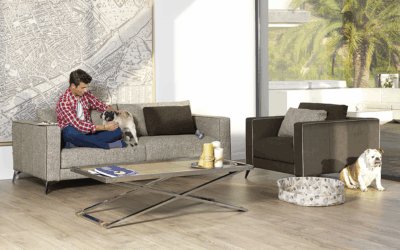 La vida entorno al sofá