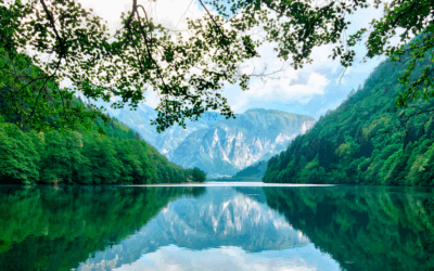 Sostenibilidad, greenpeace, y aquaclean