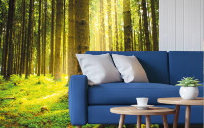 Lanzamiento de rustika 20/21 Y sus cuatro estaciones