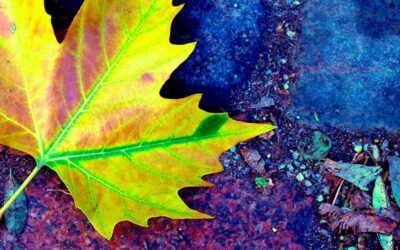 4 Ferias textiles para este otoño que no te puedes perder